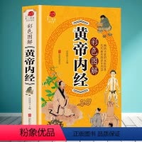 [正版]彩色图解版黄帝内经 全集 皇帝内经中医书籍基础理论养生大白话版素问入门图解全注全译养生的书籍 原文注解本草纲目