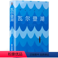 [正版]瓦尔登湖 梭罗著 朗读者朗读书目 美国自然文学与一同被评为塑造读者的25本书 外国文学小说 学生阅读