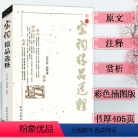 [正版]宋词精品选释/收录了范仲淹柳永欧阳询王安石苏轼秦观周邦彦李清照陆游辛弃疾姜夔等词集书籍