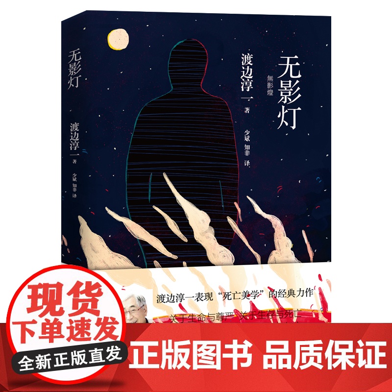无影灯(渡边淳一医情小说,日本500万册,四度改编为电视剧,经典日剧《白影》原著小说)