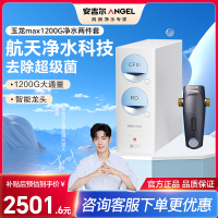 安吉尔净水器家用直饮机 RO反渗透膜净饮机天池玉龙max1200G+J3217前置过滤器