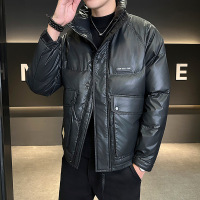 冬季男装户外工装羽绒服男士立领时尚潮牌百搭亮面羽绒服外套