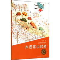 音像木疙瘩山的岩汤汤 著