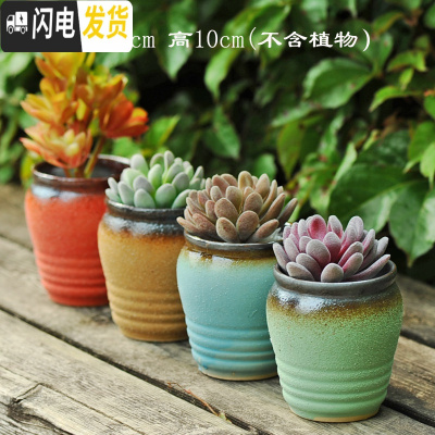 三维工匠多肉花盆大号老桩高盆大口径老庄植物创意简约陶罐粗陶陶瓷小花盆 磨砂小老桩4件套 中等花盆容器