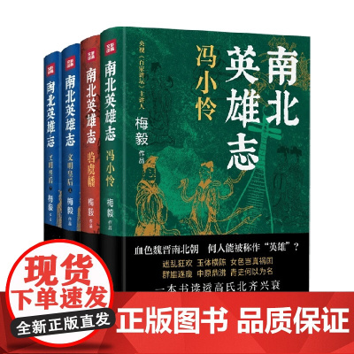 南北英雄志系列 梅毅 著 小说