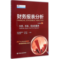 音像财务报表分析松,林小驰 著