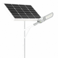 顶火 GMD9416 额定电压AC48V 功率50W IP66 太阳能路灯(计价单位:台)银色