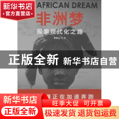 正版 非洲梦:in search of the road to modernization 李安山等