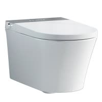 瑞尔特R&T智能马桶壁挂式HX3等离子杀菌自动翻圈离座脚感冲水