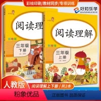 [正版]阅读理解训练三年级上下册2本 人教版 RJ版课外阅读乐学熊三年级上下册 语文阶梯阅读理解训练专项训练小学3年级