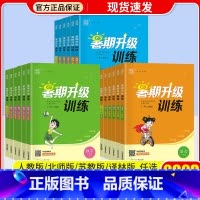 数学[苏教版] 小学二年级 [正版]通城学典暑期升级训练一升二升三升四升五升六年级小升初下册语文数学英语人教版暑假衔接一