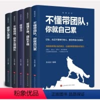 [正版]全5册企业经营管理书籍 企业管理成功法则不懂说话怎么带团队不懂带团队你就自己累管理不狠团队不稳领导力管理心理学