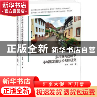 正版 乡村振兴战略下小城镇发展技术选择研究 张晶,刘炜著 九州