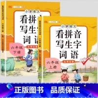 看拼音上下册 六年级下 [正版]2023新版小学六年级上册语文数学同步训练全套人教版阅读理解专项训练书看拼音写词语练字帖