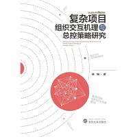 正版新书]复杂项目组织交互机理与总控策略研究杨琳978730721635