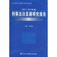 音像刑事法治发展研究报告:2011-2012年卷赵秉志主编