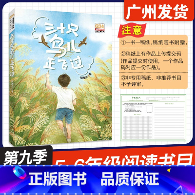 三十只鸟儿正飞过 [正版]广东省2024年少年讲书人第九季展评活动 三十只鸟儿正飞过 何腾江 著 新世纪出版社 小学五六