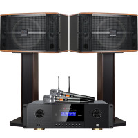 山水(SANSUI)FK-101 家用电视客厅音响套装 大音箱 FK121三分频10单元音箱+功放+美声话筒