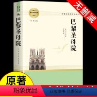 巴黎圣母院 [正版]巴黎圣母院必读雨果外国小说青少版人民教育出版社老师人教版高中语文课外阅读书籍读物经典文学世界名着书籍