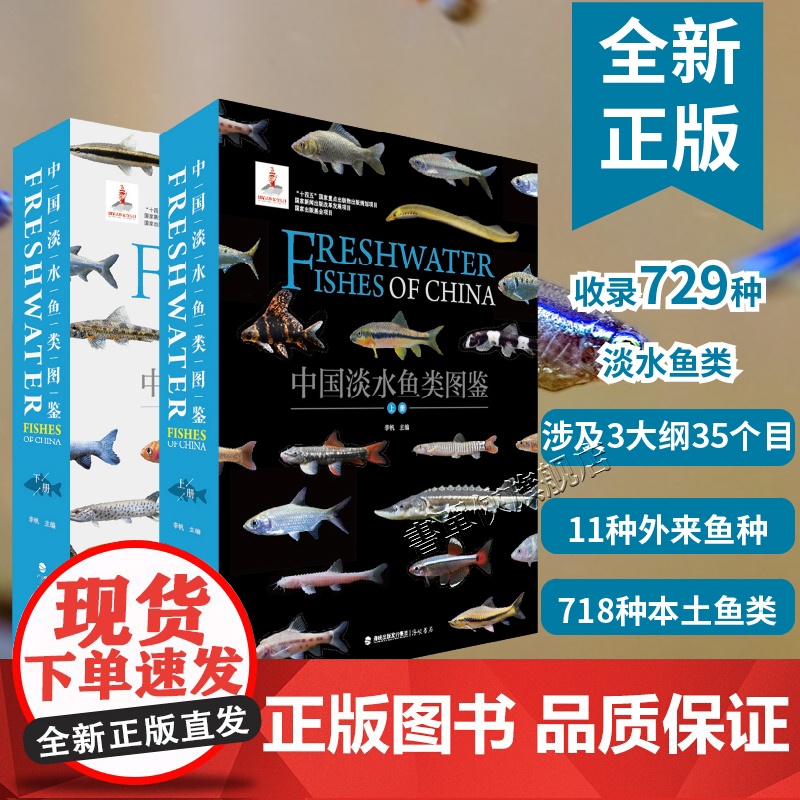 正版 中国淡水鱼类图鉴 李帆 收录700多种淡水鱼类物种分析活体拍摄2000张仿生图片海峡书局 中国淡水鱼类百科全书