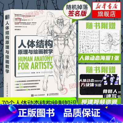[正版]人体结构原理与绘画教学肖玮春 游戏动漫人体结构造型手绘技法人物绘画教程画画的春哥画画入门自学 书籍素描临摹画册