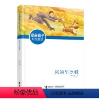 风的旱冰鞋 [正版]风的旱冰鞋 经典儿童文学读物6-12岁青少年中小学生三四五六年级课外书阅读童话故事书寒暑假书目书 当