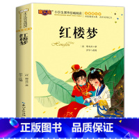 红楼梦 [正版]海底两万里注音版书原著 小学生版一二三年级阅读课外书世界名著经典必读老师带拼音儿童读物故事书6一8岁 湖