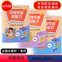 语数英全套3册 小学六年级 [正版]小学毕业总复习书+卷语文数学英语六年级下册 小考基点难