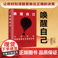 []唤醒自己 达叔 让你时刻清醒着做出正确的决策 你不是不行你只是没有看懂世界运转的规则 正版书籍