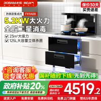 名气集成灶JJZY-FX9A08