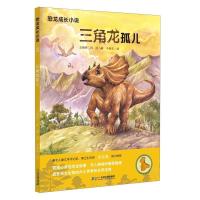 正版新书]建设项目风险评价与管理董小林9787520341967