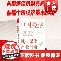中国经济2022:城市深化与产业重组 王德培作品上海远东出版社