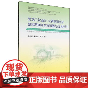 黑龙江多宝山-大新屯铜金矿整装勘查区专项填图与技术应用