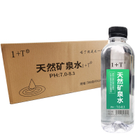 1+T天然矿泉水380ml*24瓶/箱