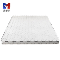 麦都乐 床垫棕垫 1900*1000*100mm/张
