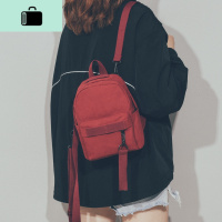 上新帆布韩版纯色双肩包斜挎小包2020新款ins超火休闲迷你背包潮NEW LAKE