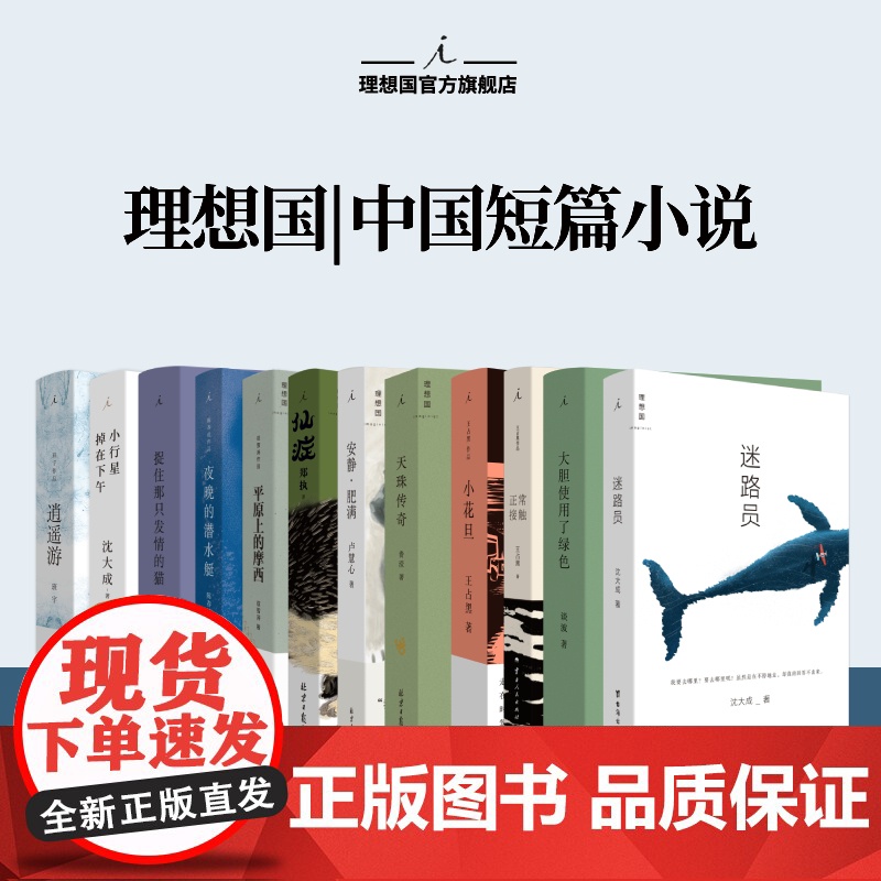 理想国 | 中国短篇小说 夜晚的潜水艇 宝珀文学奖 安静·肥满 平原上的摩西 仙症 小花旦 正常接触 天珠传奇 理想国图