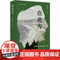 在北方 张惠雯著 短篇小说集 当你爱的人和你不喜欢的生活绑在一起 书籍