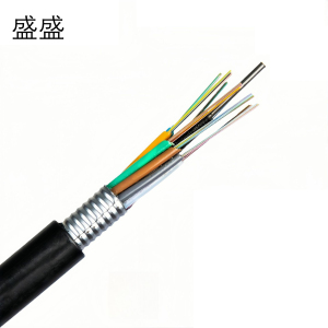 盛盛 通信光缆 GYTA53-16B1+4B4 米