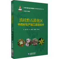 音像滇桂黔石漠化区材生产加工适宜技术作者