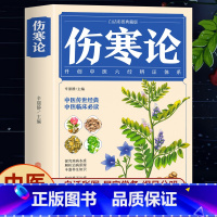 伤寒论 [正版]伤寒论 张仲景 中医书籍大全 彩图典藏版含原文注释译文中草药彩图大全书医学类书籍 杂病论医药大全中医书籍