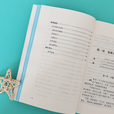 励志版 尼尔斯骑鹅旅行记