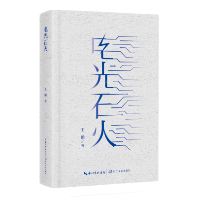 正版新书]电光石火王言他 著9787570235032