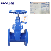 力盾 法兰暗杆弹性座封闸阀 6540 DN300 台