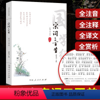 [正版]宋词三百首全注音版 原文注释译文 青少年背古诗词古典文学 中华古诗词 古诗词鉴赏