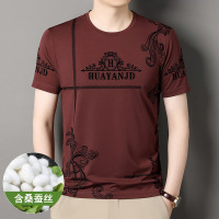 夏季男士植绒桑蚕丝透气短袖T恤圆领短袖高品质半袖打底短袖男