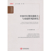 正版新书]中国中长期负债能力与系统性风险研究(2013)/国务院发