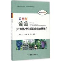 正版新书]彩图版葡萄6叶剪梢2芽冬剪配套栽培新技术杨治元978710