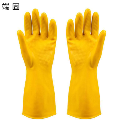 端固 乳胶手套hky/双