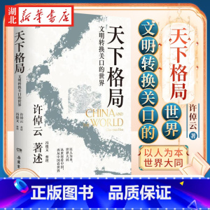 天下格局:文明转换关口的世界 [正版]天下格局 文明转换关口的世界 许倬云 著 一部在不停互动的文明中寻找精神解药的大家